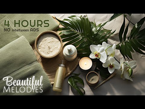 Spa Music Relaxation No Ads, Relaxing Music for Stress Relief, Zen Music