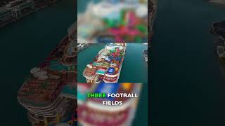 Icon of the Seas vs every other cruise ship (no comparison) #cruiseships