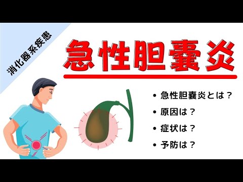 胆泥とは何か、症状、原因、治療法 - 健康ラボ