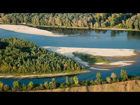 Željko Sesvečan - Draga moja Podravina