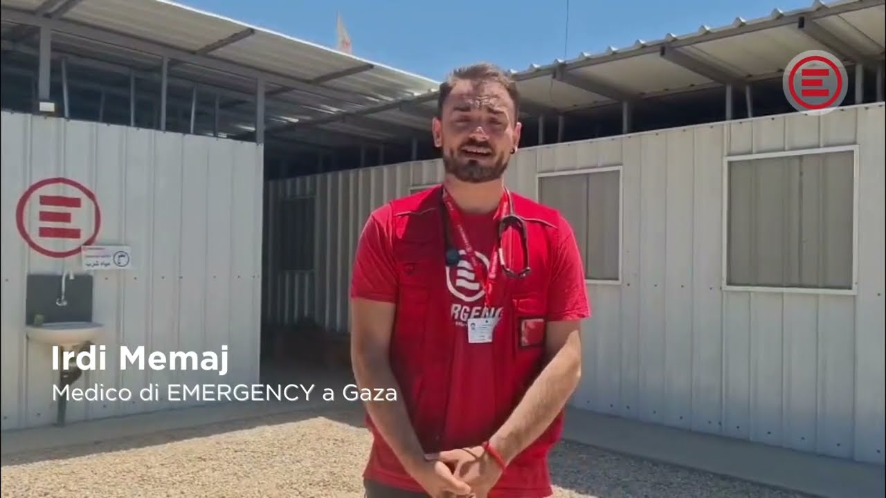 Roditori tra le tende nella Striscia di Gaza | Un'altra emergenza silenziosa e feroce
