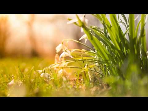 Himno de la Alegría   Míguel Ríos - ( 432 Hz )