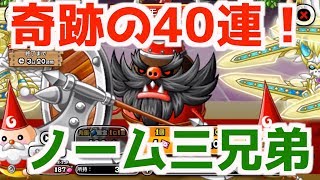 【城ドラ】ノーム三兄弟神引き！？アバたま全力40連！(城とドラゴン)
