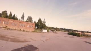 6"5S - Tea leaf dancer