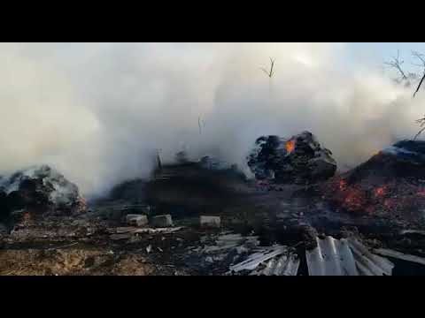 Incendiu de vegetatie la Probota, oras Dolhasca