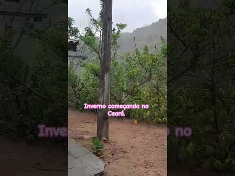 chuvinha boa. 🌧️ #chuvas #chuvinha #ceará #palmácia