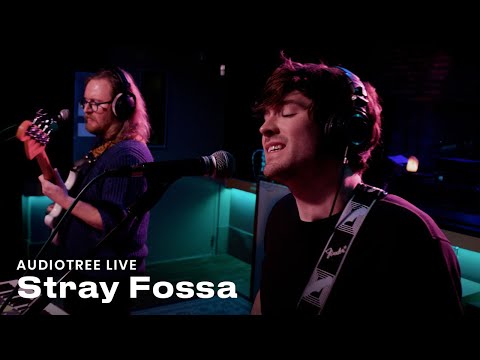 Stray Fossa on Audiotree Live (Full Session)
