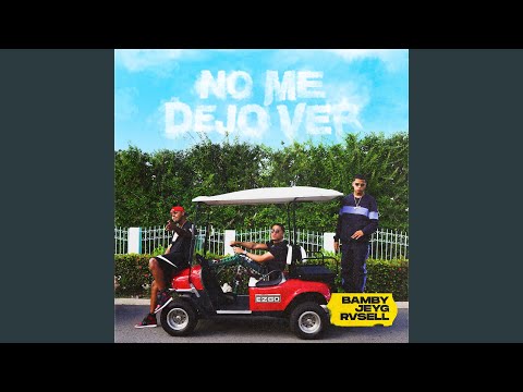 No Me Dejo Ver