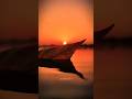 Ek Pyar Ka Nagma Hai Jagjit Singh Status Video Shorts Lyrics Oldsongs Love