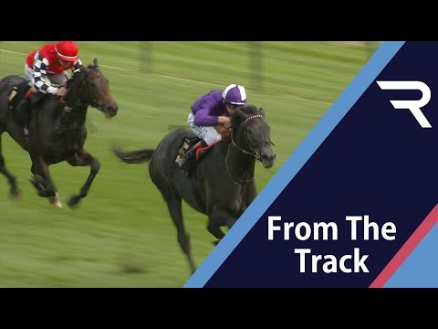 "He's the biggest two-year-old I've ever ridden!" - King Of Steel makes an impression on debut