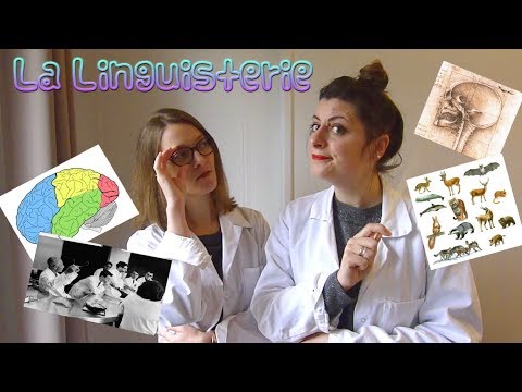 La Linguisterie #7 - L’aire de Broca est-elle vraiment l’aire du langage?