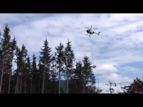 Helicopter Tree Topping