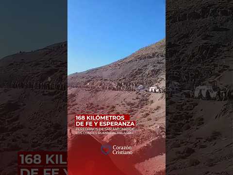 Desde San Antonio de los Cobres, 168 kilómetros de camino hacia el Señor y la Virgen del Milagro❤️