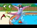 Sapo Zé JOGA A AQUARELA Na PISCINA GELADA