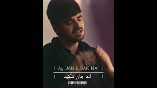 Jan E Sakina | Noha | Ali jee | Latest noha | Status video| #muharram #alishanawar #alijee #fyp