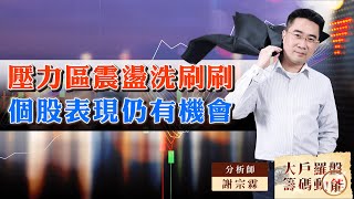 壓力區震盪洗刷刷個股表現仍有機會 (圖)