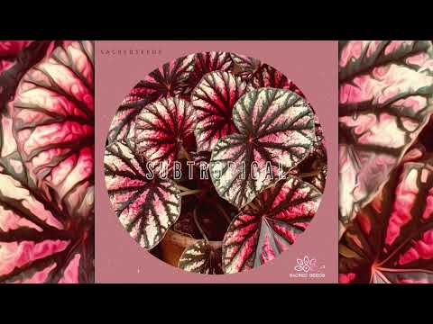 Sacred Seeds - Subtropical [Full EP]