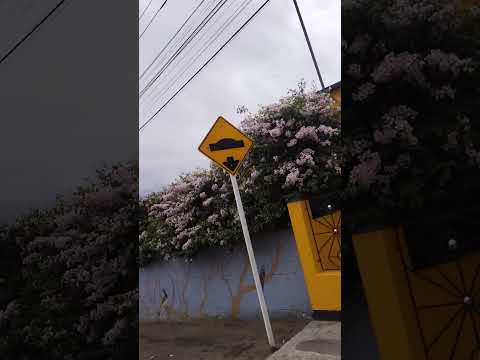 Entrada a Choachi Cundinamarca COLOMBIA 🇨🇴