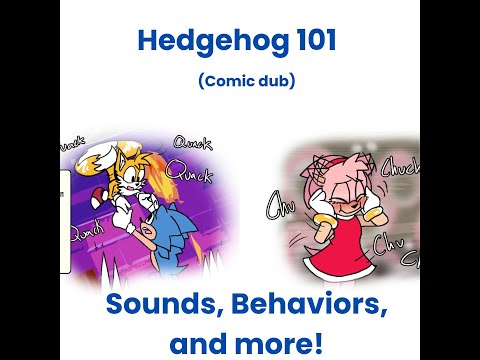 Hedgehog 101:  Sounds, Behaviors, and More!! (Comic by LunarCrossing)