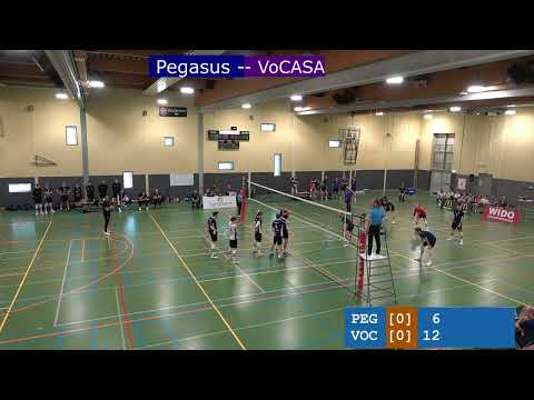 Pegasus-VoCASA, blauw vs paars (12 april 2025) Volleybal Nijmegen, PD Superdivisie Heren XHD
