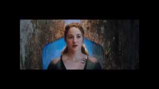 Divergent Girl on Fire Arshad