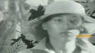 Cherrelle   I Didn&#39;t Mean To Turn You On