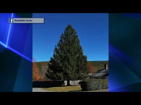 Rockefeller Center Christmas Tree