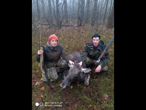 закрытие загонной охоты 2019-2020