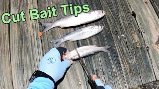 How to Cut Up Baitfish (For More Redfish, Snook, Black Drum & Tarpon)