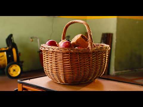 Vili Resnik & Erosi - Moja dolina (Napovednik // Teaser) 2021