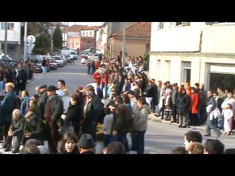 Carnaval de Fermentelos 2010a.mpg