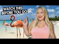 How to Visit FLAMINGO BEACH in Aruba | Renaissance Island