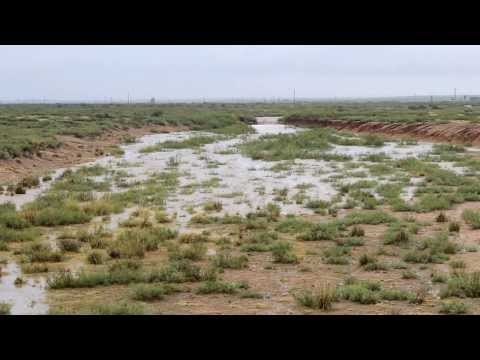 Flash Flooding On Four Mile Arroyo US Hwy 285 - Lakewood, NM.  9 12 2013