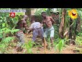 Crazy Farmer S Dance Latest Comedy Dance Rema D K Venomous Kazzey And Chief Kasolo HD VIDEO