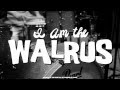 I AM THE WALRUS - THE KALAHARIS (Cover ...