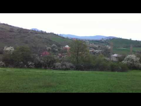 Pasoma-Vushtrri-Kosovë