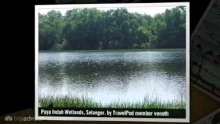 preview picture of video 'Paya Indah Wetlands, Kuala Langat, Selangor Venoth's photos around Kampung Dengkil, Malaysia'