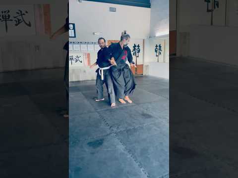 Aikido Chudan Tsuki Kotegaeshi