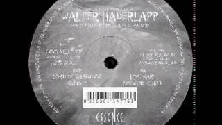 WALTER HADERLAPP - Lord Of Darkness    ( Love Ware [ ESSENCE ] )