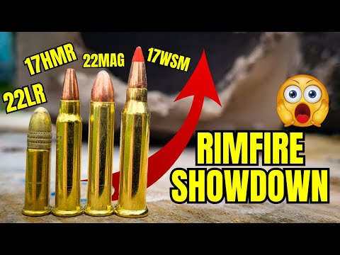 17WSM vs 22 LR vs 17 HMR vs 22 MAG: No More Debating