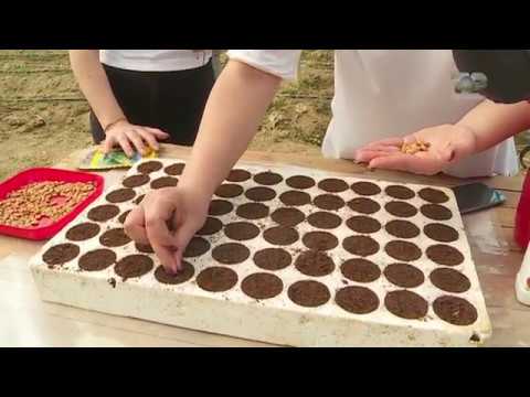 Ne Shtepine Tone, 5 Shtator 2017, Pjesa 2