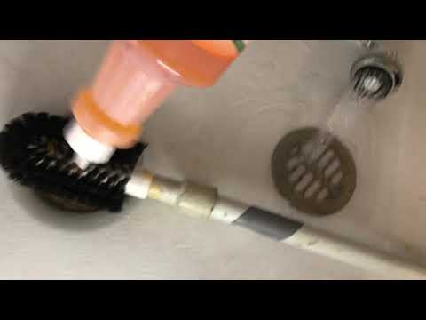 To Prevent Drain Flies, Clean Your Shower Drain!