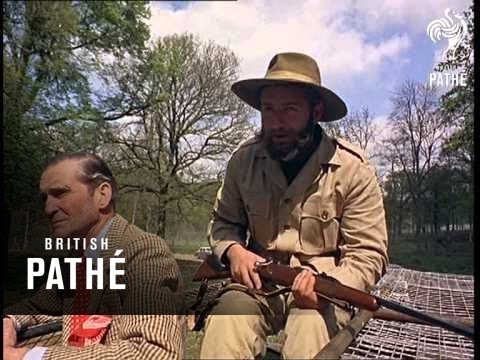 Out Takes / Cuts From Cp 601 - Reel 2 Of 2 - Longleat Lions And Jericho (1966)
