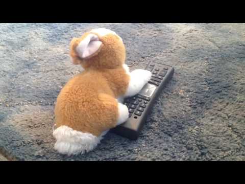 Canine Catastrophe 2 Sneak Peek