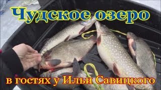 Ловля плотвы весной на чудском озере