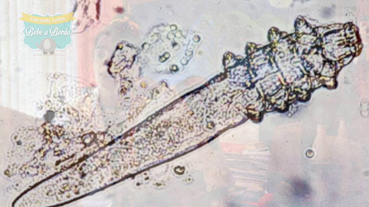 Maria Alexandra Mieth Alviar-29