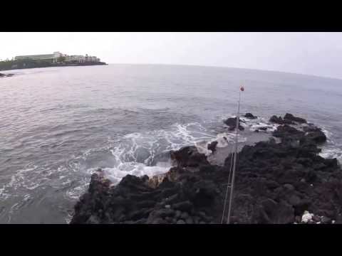 download lagu mp3 mp4 Fish In Kona, download lagu Fish In Kona gratis, unduh video klip Fish In Kona