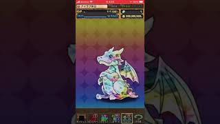 無料スーパーゴッドフェスを引く動画を忙しかったから超高速編集で作ってみた【パズドラ　ガチャ】