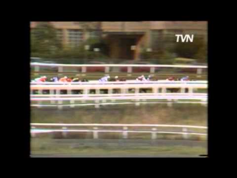 1985 Golden Slipper - Rory's Jester