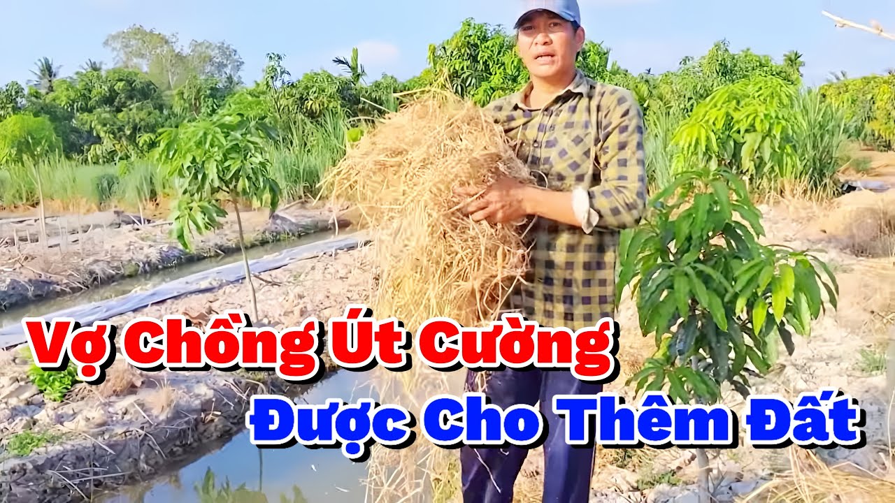 Vợ Chồng Út Cường Quá Mừng Khi Được Ba Cho Thêm Phần Đất Để Xuống Vụ Dưa Mới